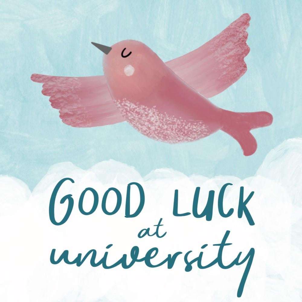 Good Luck at University card bird flying high