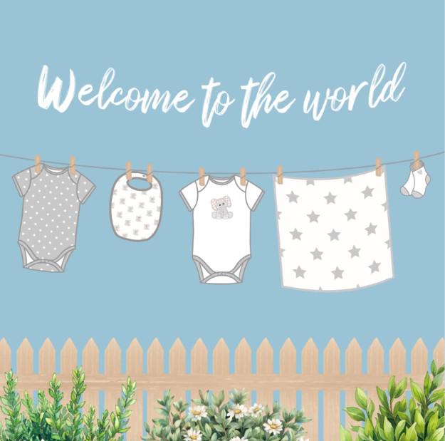 Welcome to the world washing line