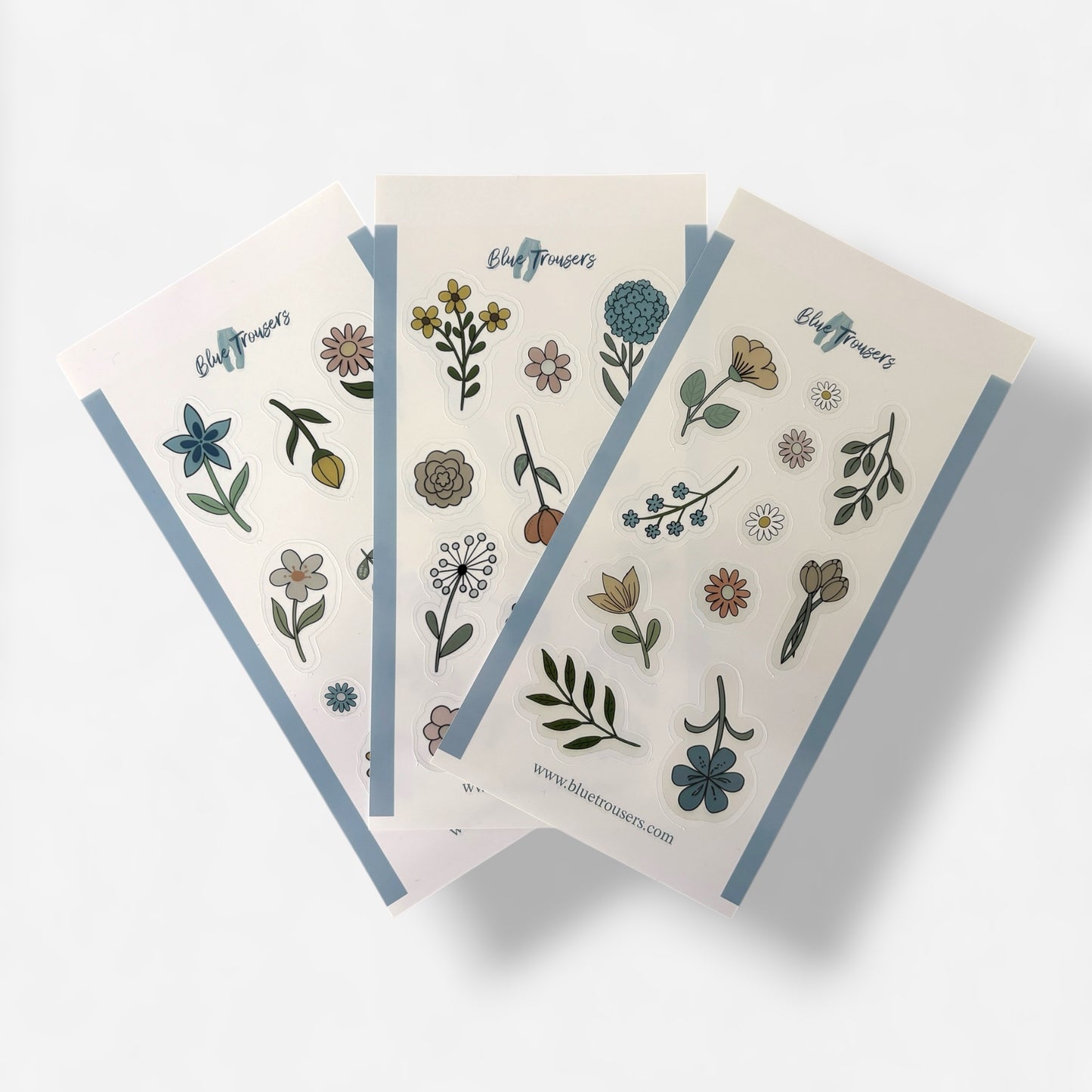 Summer flowers