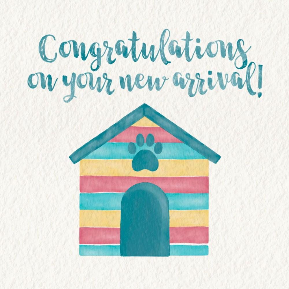 New arrival card doghouse
