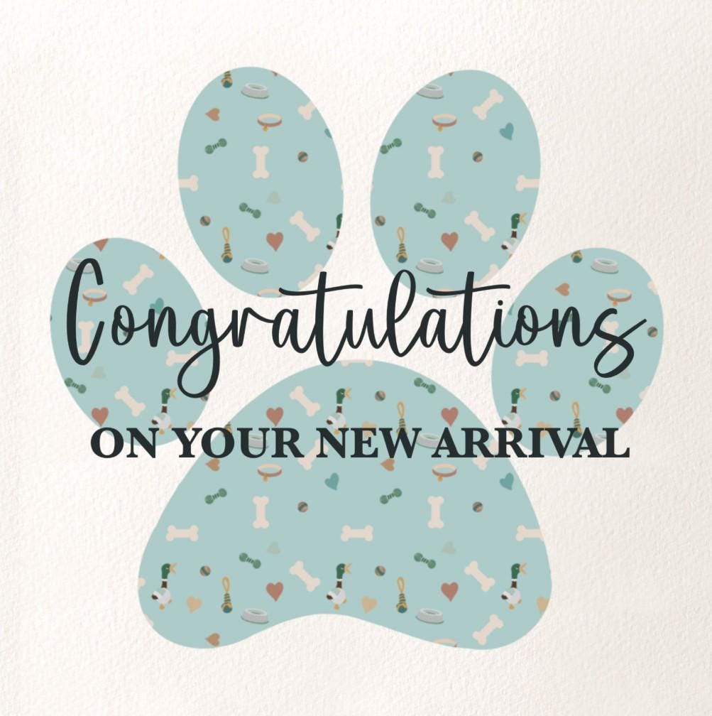 New puppy card, Congratulations on your new dog arrival card
