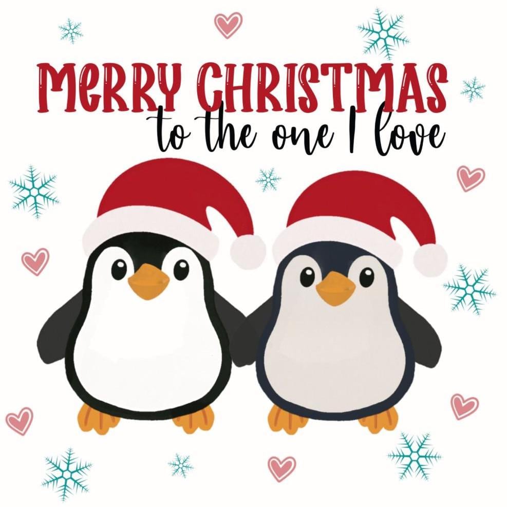 Penguin couple