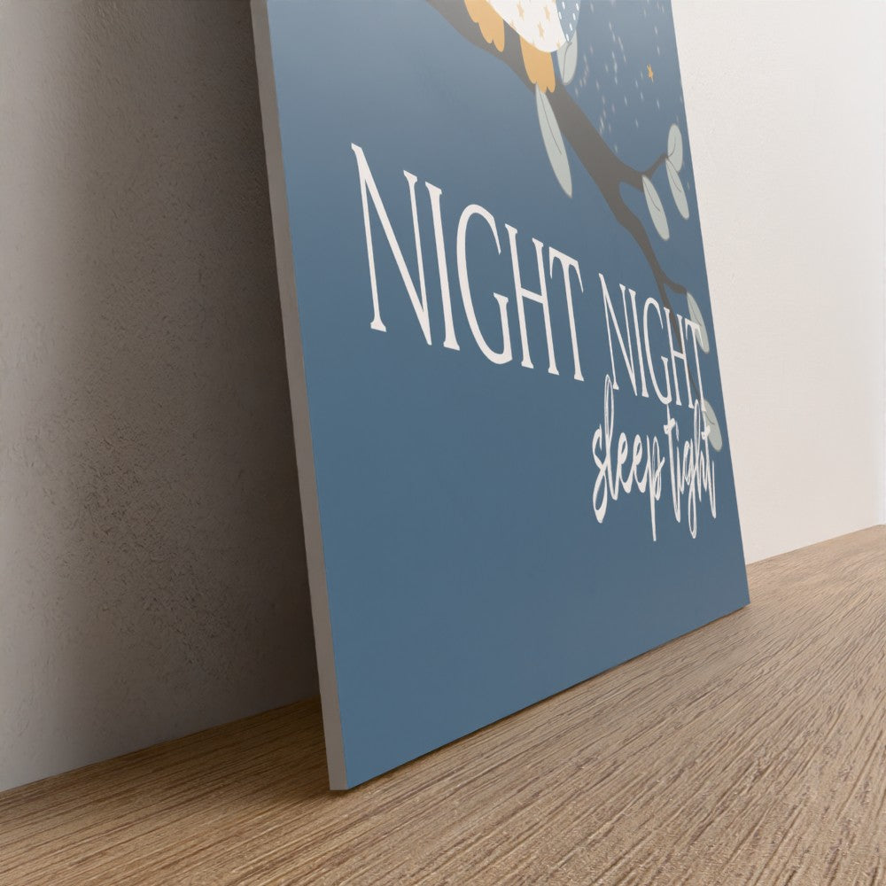 Childrens bedtime series #1 night night